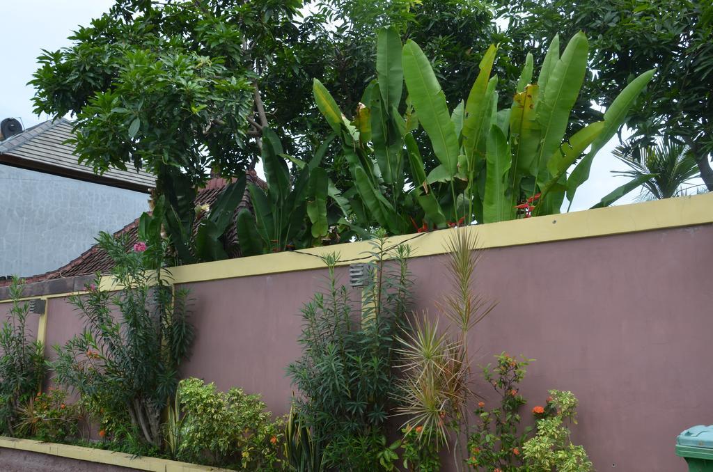 Villa Eva Canggu  Exterior photo